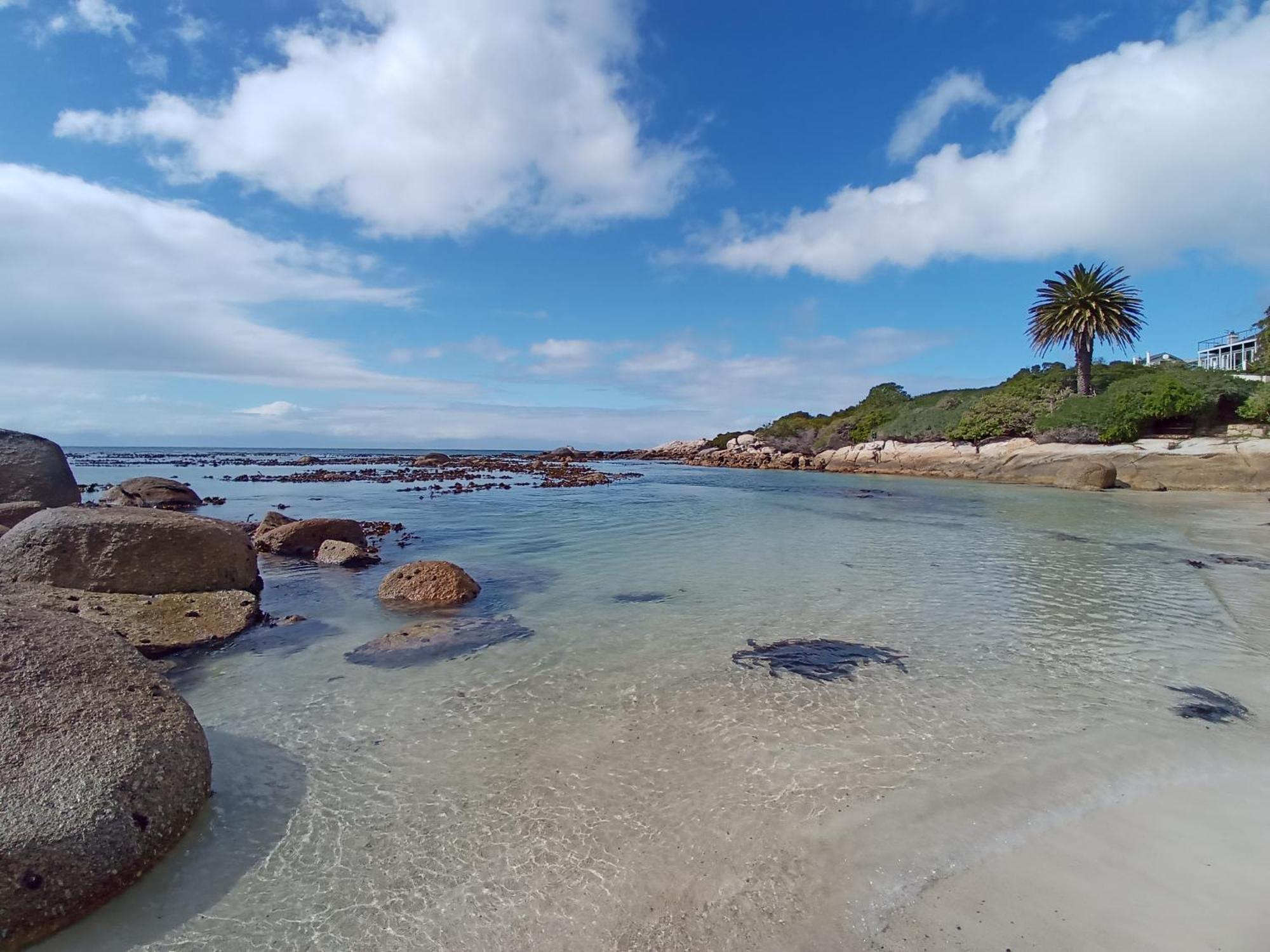 Bonne Esperance, Simon'S Town 아파트 외부 사진