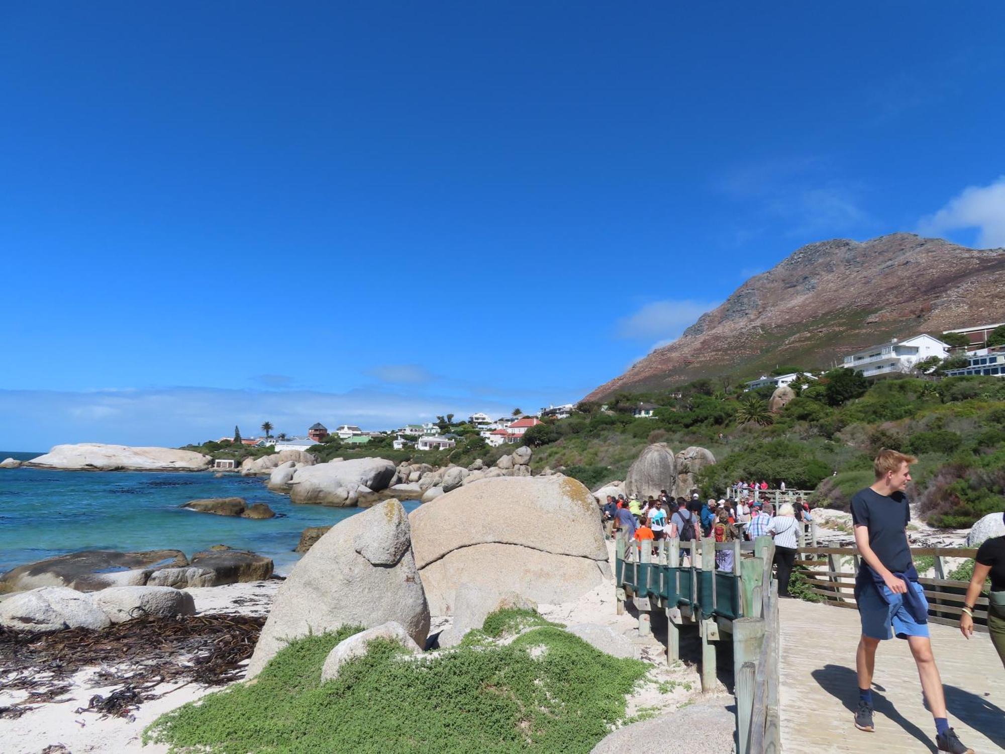 Bonne Esperance, Simon'S Town 아파트 외부 사진